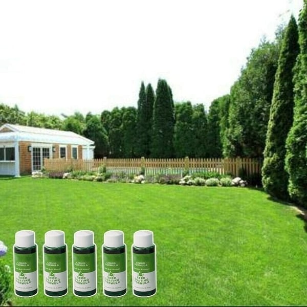 🔥GreenRevive HydroSeeding Lawn Solution