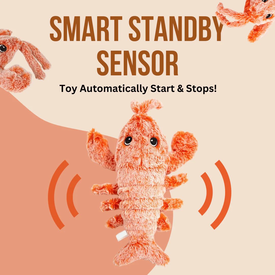 🔥Floppy Lobster Interactive Dog Toy